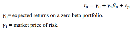 CAPM Testing Equation