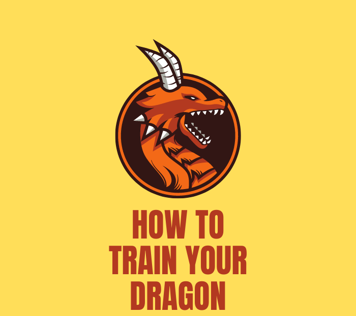 How to train your Dragon