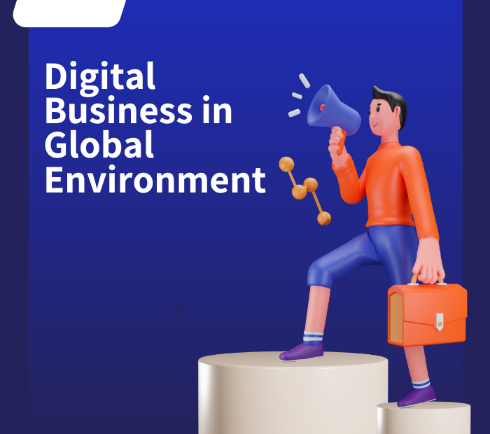 Digital Business in Global Environment